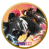 vmax